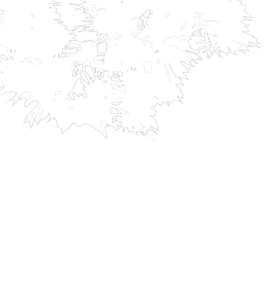 location-design3