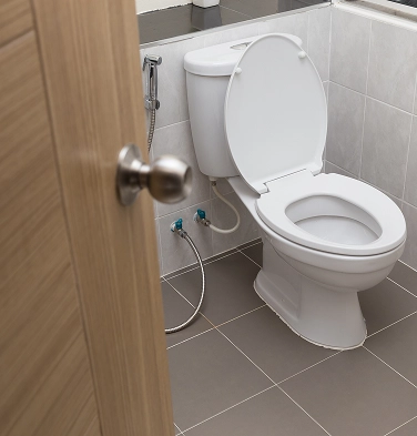 toilets-mob
